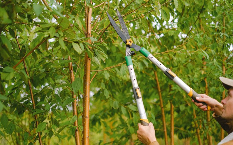 Tree trimming in Stitzer, WI